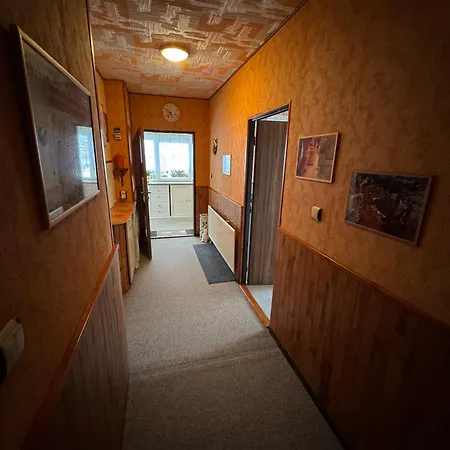 Apartment Ditz