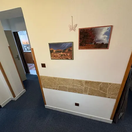 Ditzova Apartment